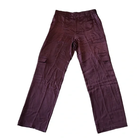 NWT Young Fabulous & Broke Findlay Satin Cargo Carpenter Pants in Raisin - M - Picture 4 of 16